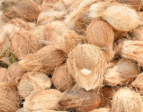 Coir & Coco Products Manufactures & Exporter In India