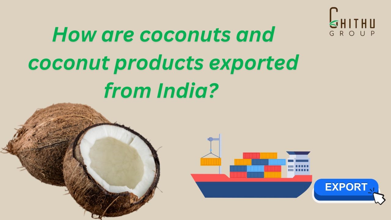 How are coconuts and coconut products exported from India?
