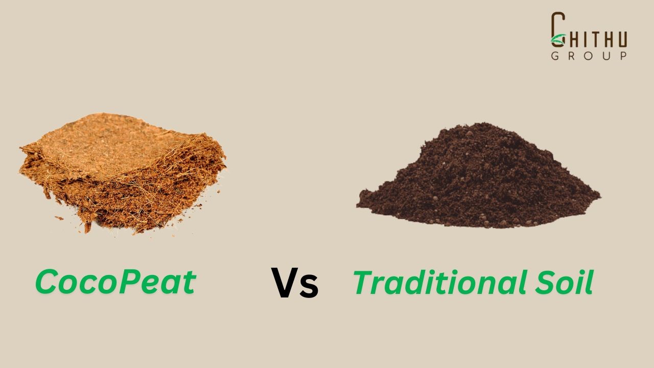 Coco Peat vs. Traditional Soil: Which is Better for Plant Growth?