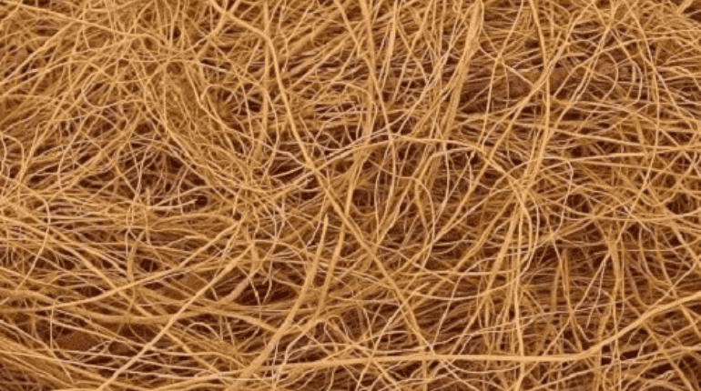 Brown Coir Natural Fiber Manufacturers & Supplier in India