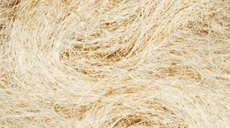 Leading White Coir Manufacturers & Exporter in India