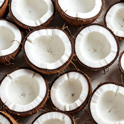 semi husked coconut exporter - chithu group