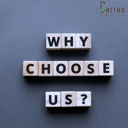 Why Choose Chithu Group Coco Peat Blocks?