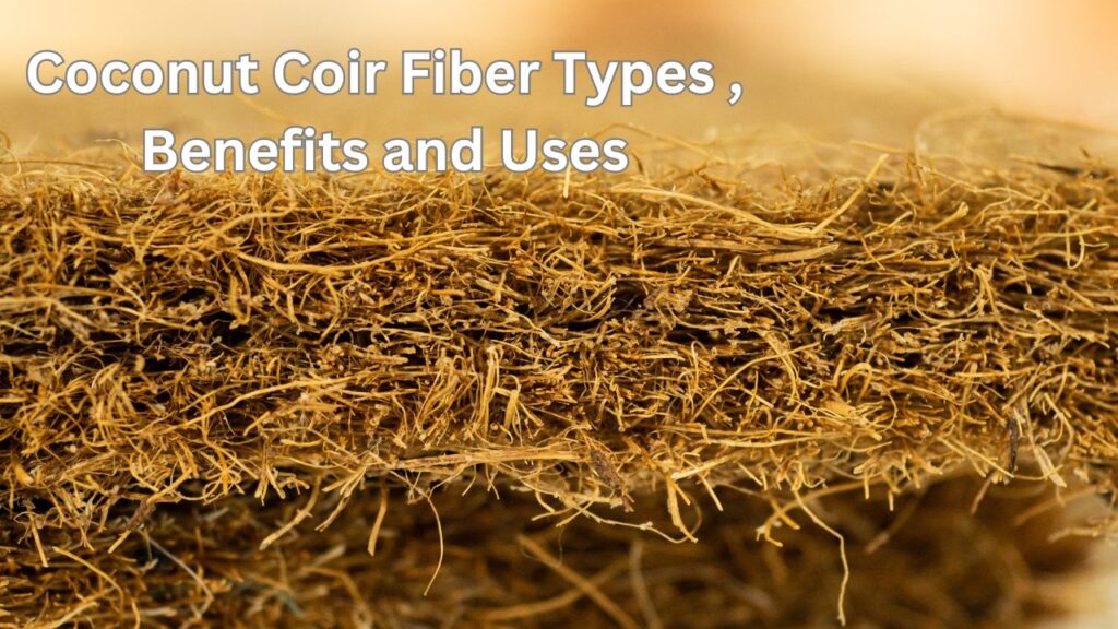 Coir Types