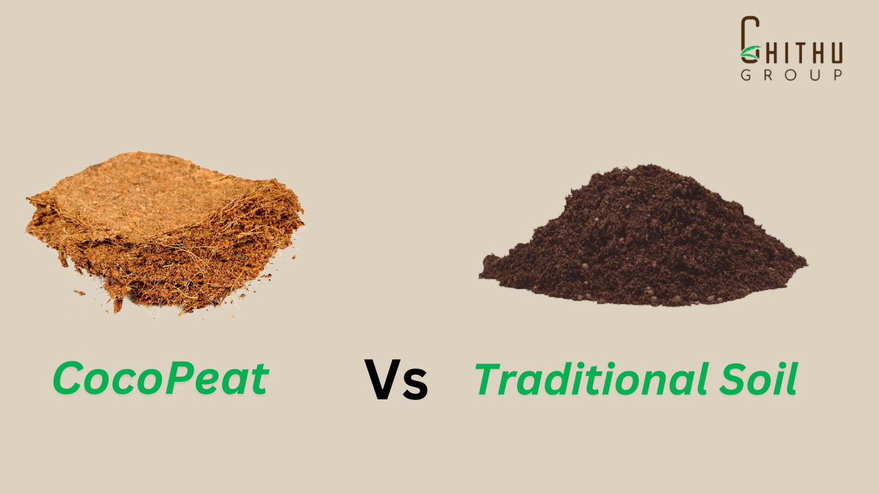 Cocopeat vs Traditional Soil