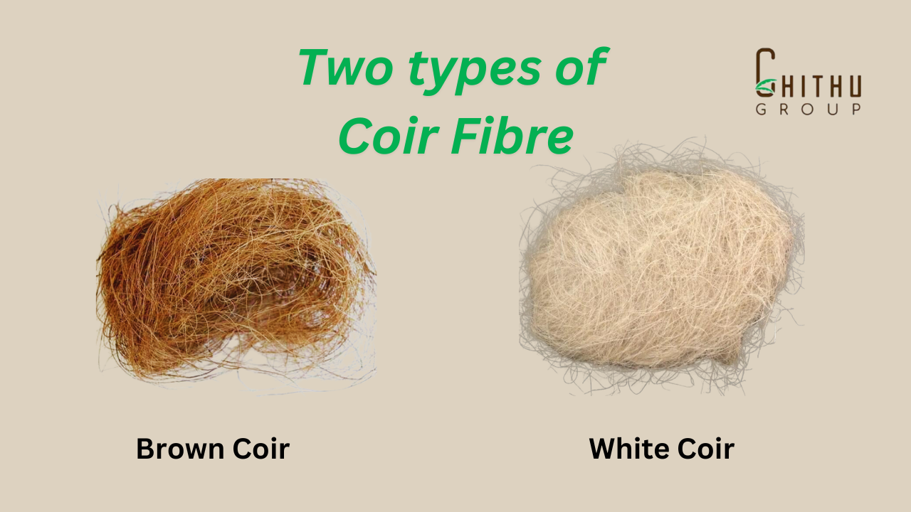 Coir Types
