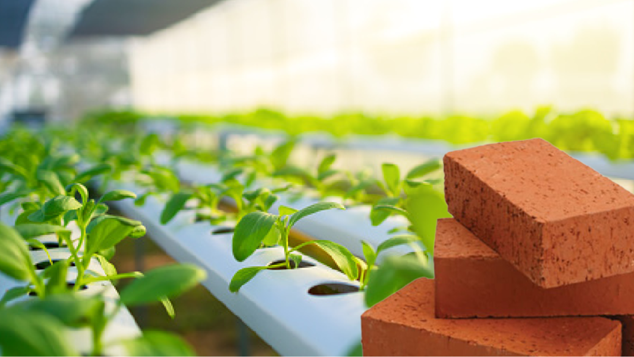 the image showing cocopeat with background surrounded with plants in a growing medium