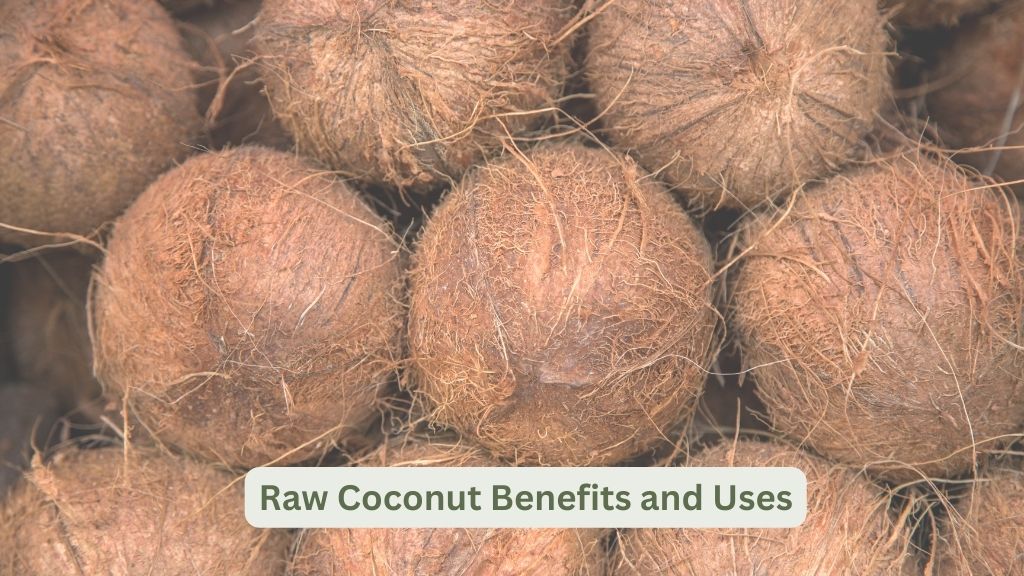 Raw Coconut Benefits and Uses