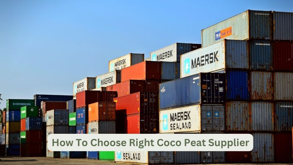 How To Choose Right Coco Peat Supplier