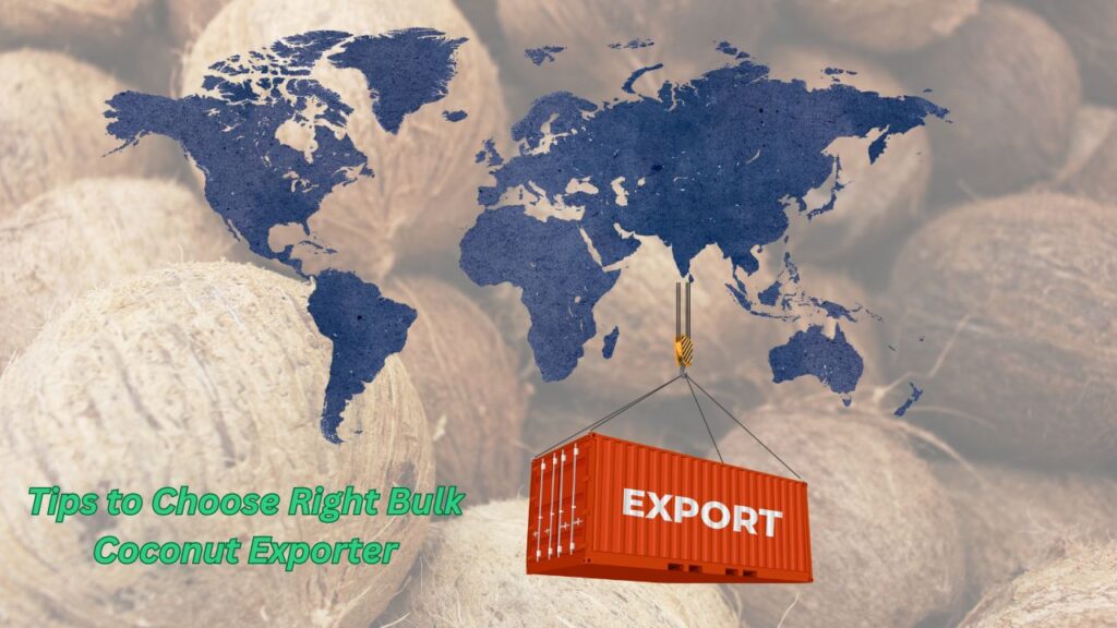  Choosing the Right Bulk Coconut Exporter.