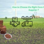 How to Choose the Right Coco Peat Blocks Supplier