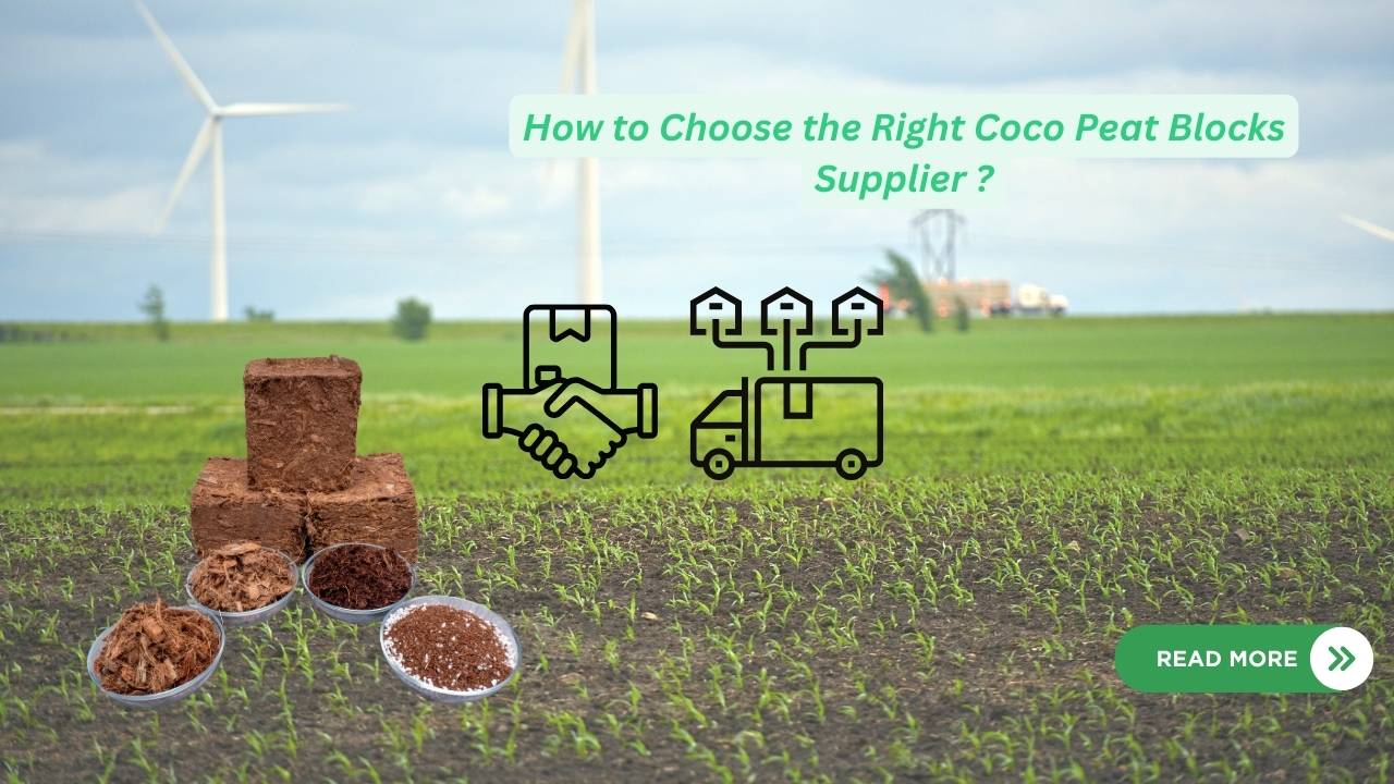 How to Choose the Right Coco Peat Blocks Supplier