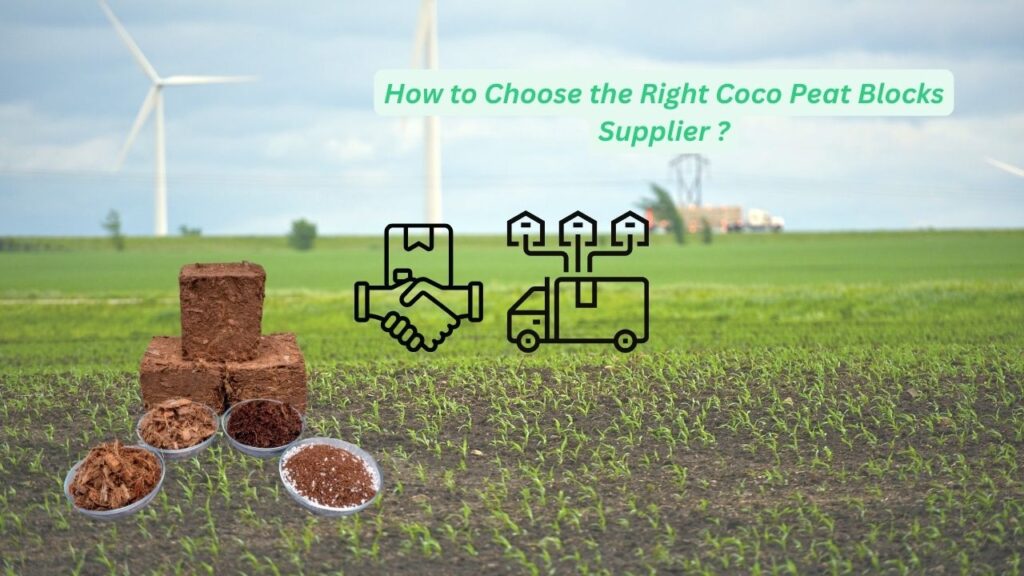 How to Choose the Right Coco Peat Blocks Supplier 